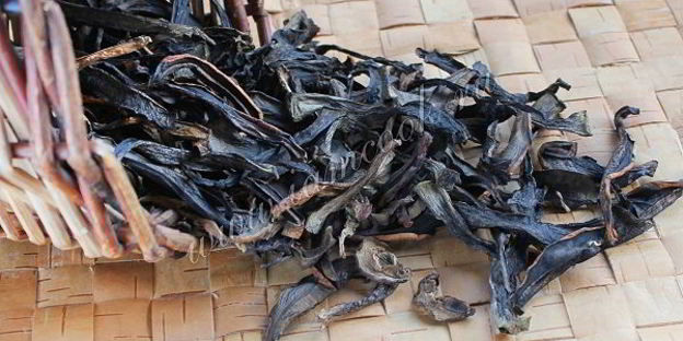 сушка грибов в сушилке