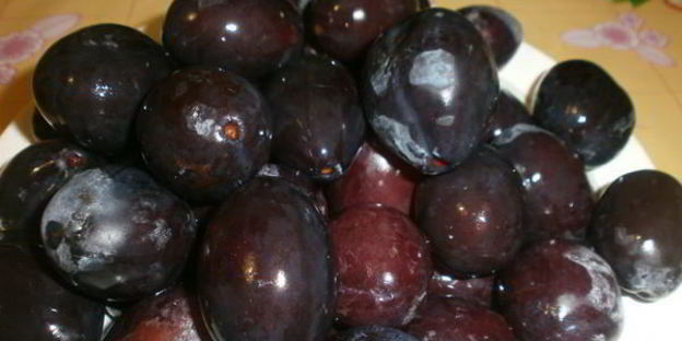 сушка слив в электросушилке