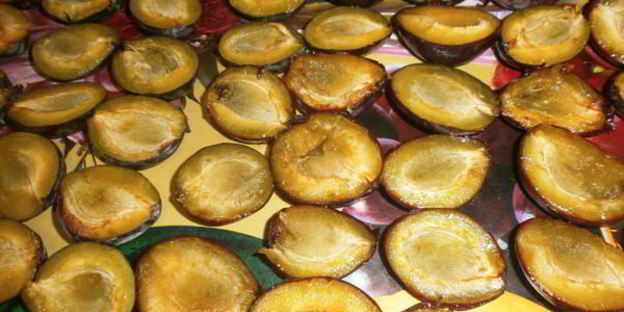 сушка слив в электросушилке