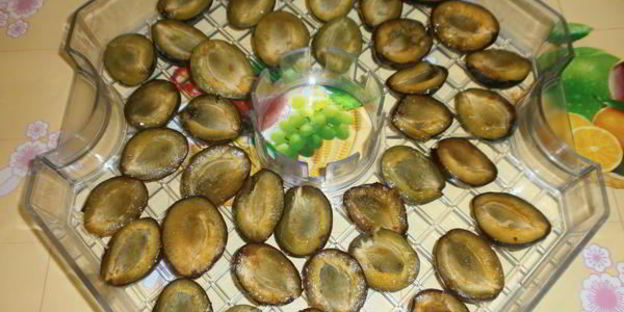 сушка слив в электросушилке