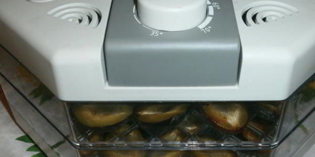 сушка слив в электросушилке