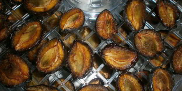 сушка слив в электросушилке