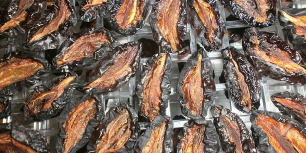 сушка слив в электросушилке