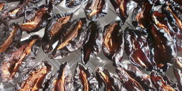 сушка слив в электросушилке