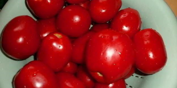 вяленые помидоры в электросушилке