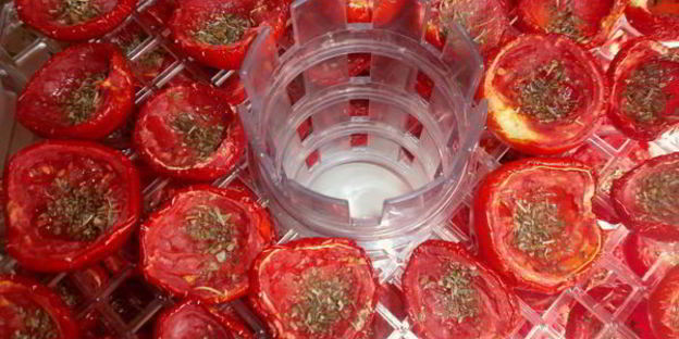 вяленые помидоры в электросушилке