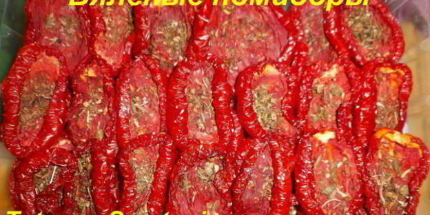 вяленые помидоры в электросушилке