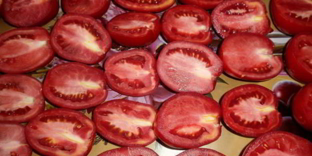 вяленые помидоры в электросушилке