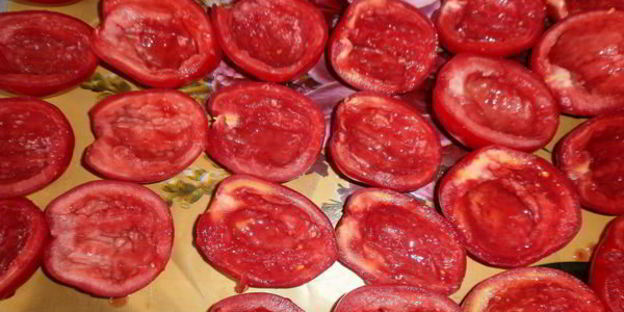 вяленые помидоры в электросушилке