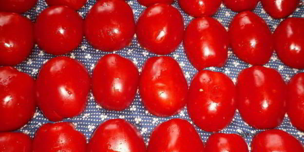 вяленые помидоры в электросушилке