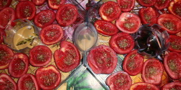 вяленые помидоры в электросушилке