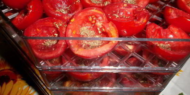 вяленые помидоры в электросушилке
