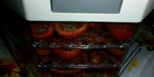 вяленые помидоры в электросушилке