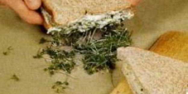 куриный сэндвич с кресс-салатом