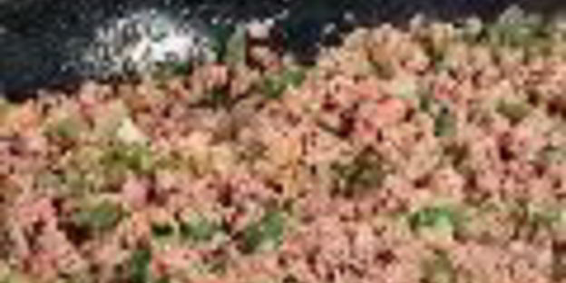 сэндвич слоппи джо