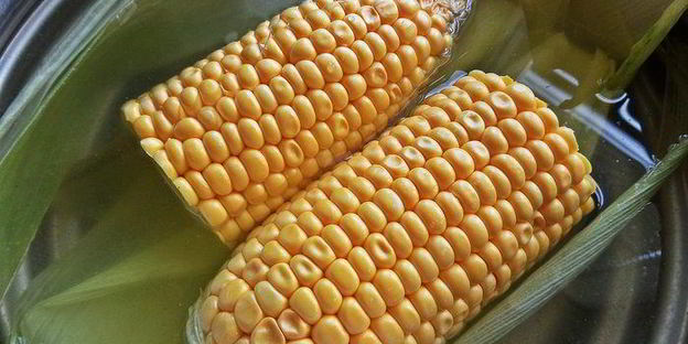 сэндвичи из баклажанов