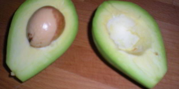 закусочные тарталетки с рыбой и авокадо