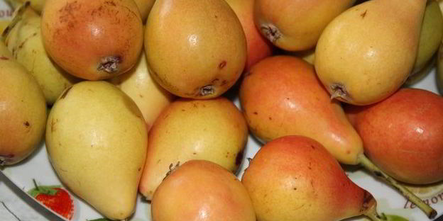 грушевый тарт с заварным кремом и абрикосовыми косточками