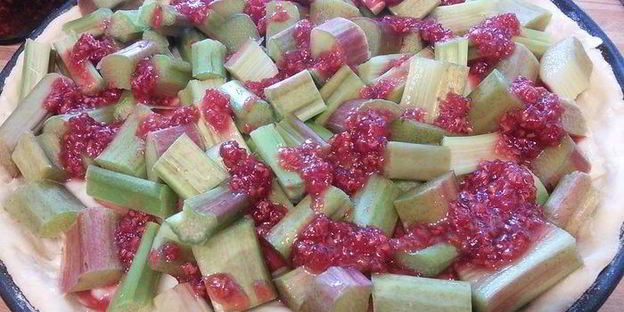 ревеневый тарт с ванильным пудингом и штройзелем