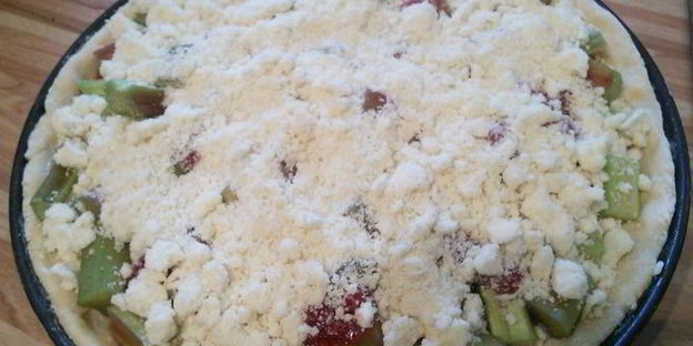 ревеневый тарт с ванильным пудингом и штройзелем