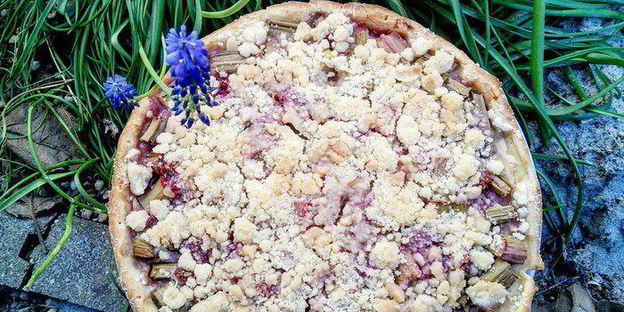 ревеневый тарт с ванильным пудингом и штройзелем