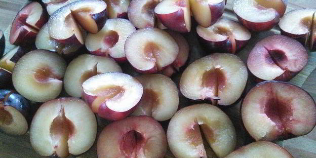 сливовый тарт с маковой начинкой