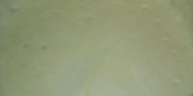 сырно-творожный тарт с весенней зеленью