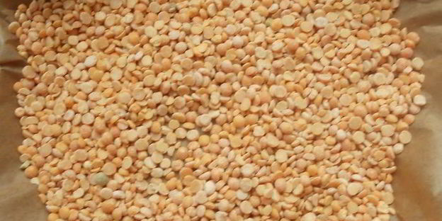 тарт с ежевикой, ревенем и руколой