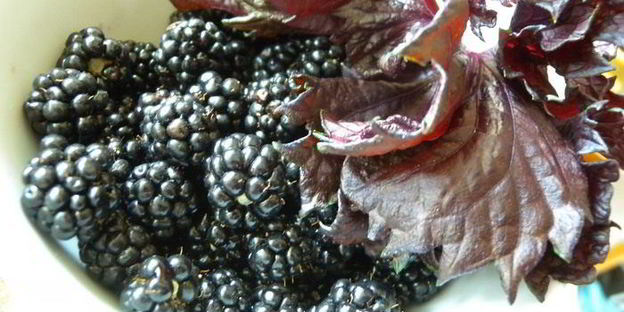 тарт с клубникой с розмарином и ежевикой с базиликом двойное удовольствие