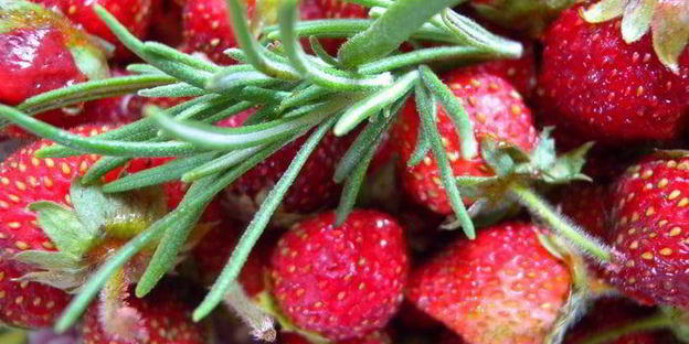 тарт с клубникой с розмарином и ежевикой с базиликом двойное удовольствие