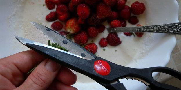 тарт с клубникой с розмарином и ежевикой с базиликом двойное удовольствие