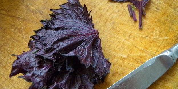 тарт с клубникой с розмарином и ежевикой с базиликом двойное удовольствие