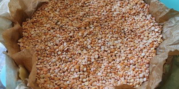 тарт со свеклой и брынзой