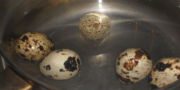 ржаные тосты с авокадо