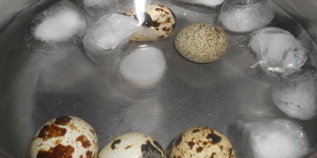 ржаные тосты с авокадо