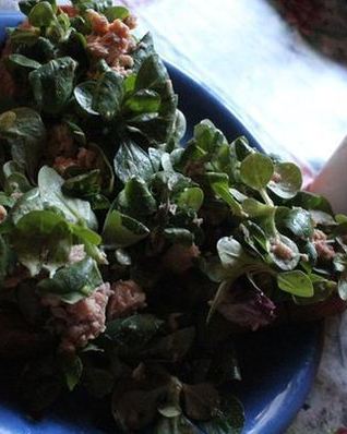 Тосты Морской бриз