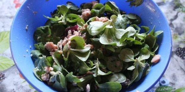 тосты морской бриз