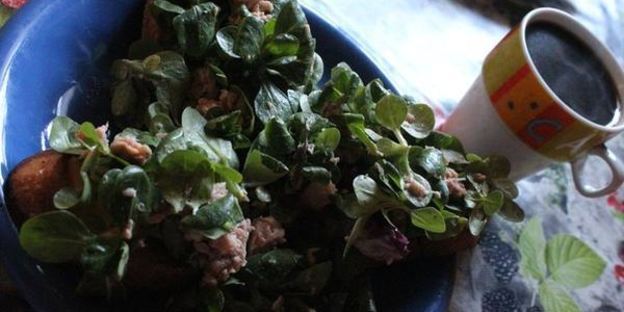 тосты морской бриз