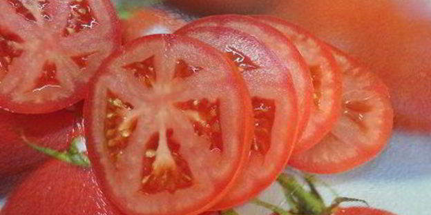 тосты с кабачком и томатами