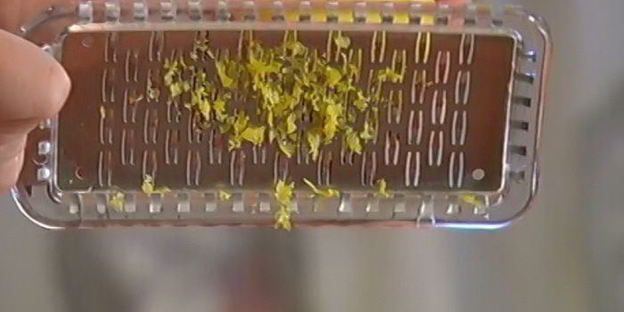 тосты с патэ из копченой форели