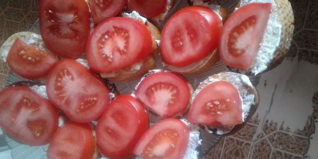 тосты с томатами