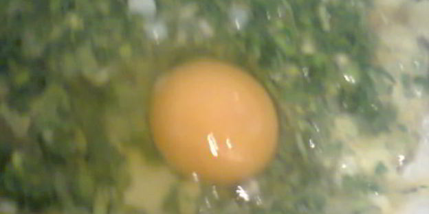 глазунья с эстрагоном