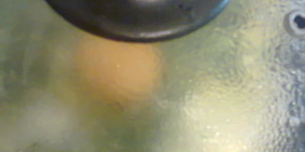 глазунья с эстрагоном