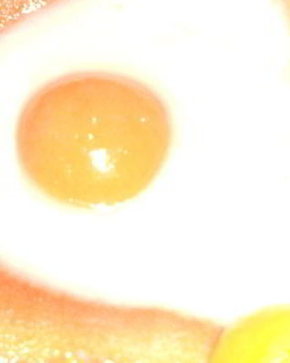 Торт Яичница