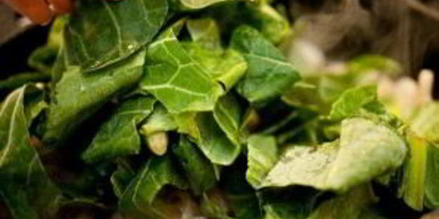 яичница с брынзой