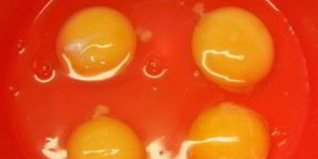 яичница с яблоками