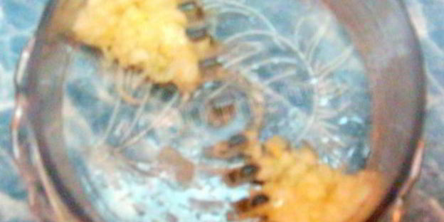 закуска из свинины под сливочным соусом