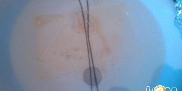 сильно рыбное заливное