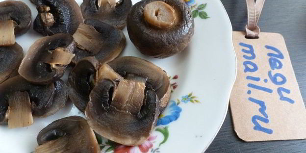 заливное из индейки с грибами