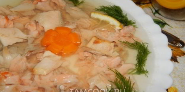 заливное из красной рыбы